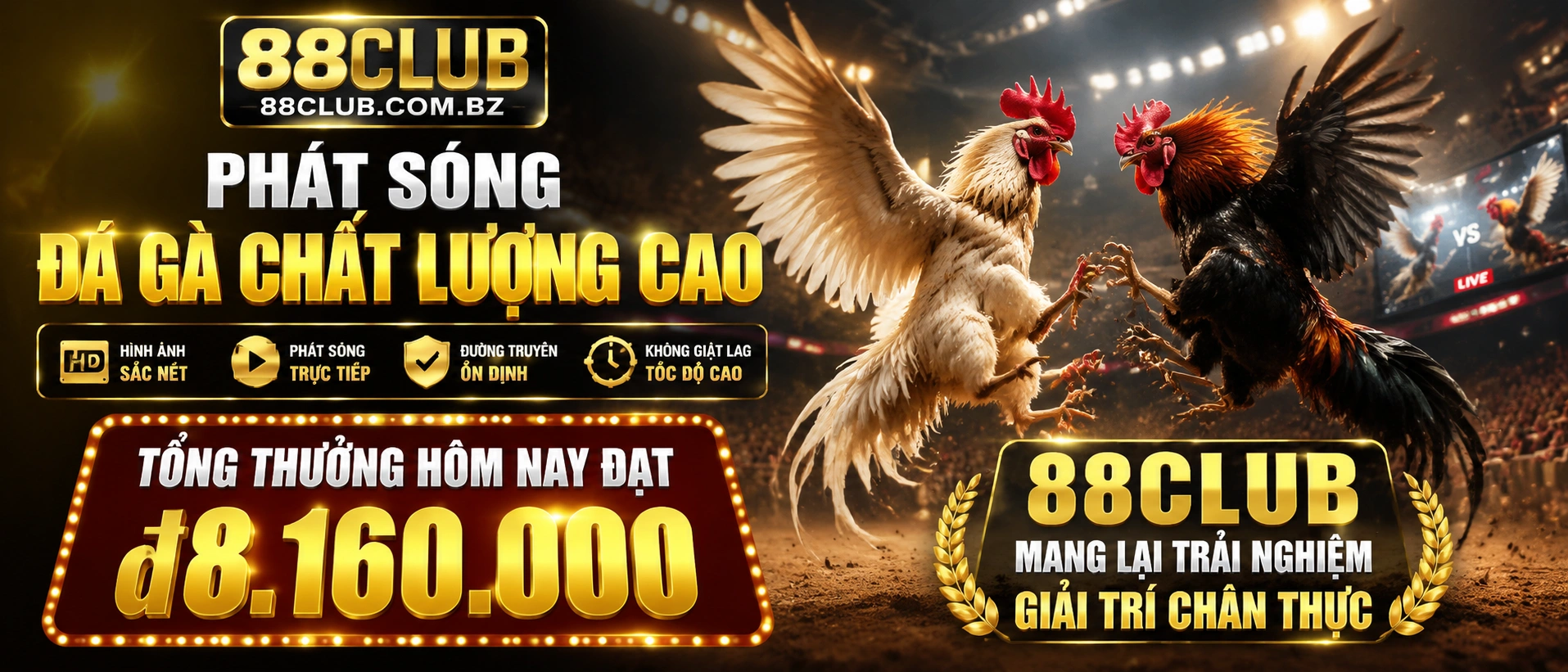 Khu vực đá gà trực tiếp trên 88club